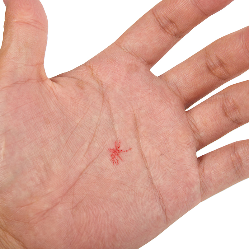 Selos sortidos de mosquito par - Prank Toys avaliação e preço